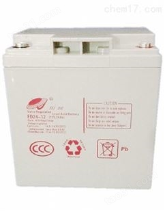 飞碟FEI DIE蓄电池（中国）有限公司