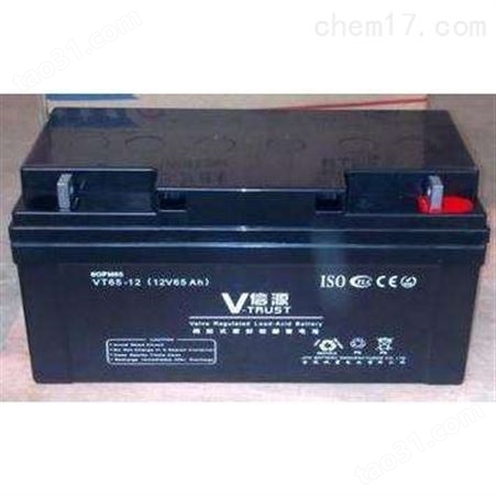 信源V-TRUST蓄电池12V17AH能源发电