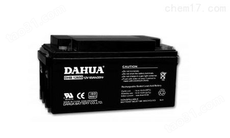 大华DAHUA蓄电池DHB122000工厂*