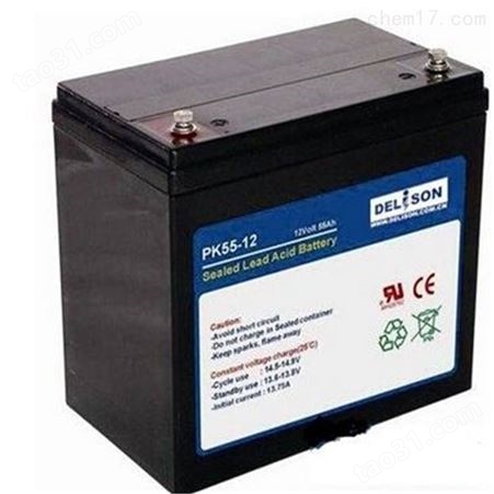 德力森蓄电池12V200AH免维护铅酸
