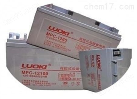 LUOKI洛奇蓄电池12V24AH免维护电池