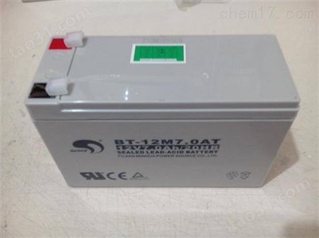 赛特蓄电池BT-4M4.0AC/4V4AH电池价格