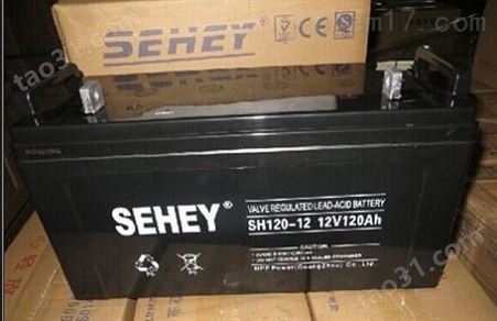 SEHEY西力蓄电池NP6-100Ah/6V100AH石油化工