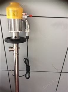 电动防爆油桶泵
