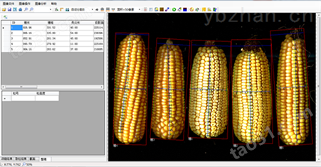 QN-KZ-A玉米考种分析系统