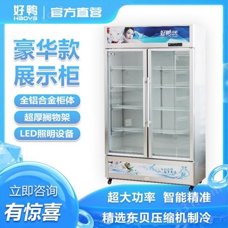 冷冻展示柜 好鸭冷冻展示柜直销 好鸭冷冻展示柜批发