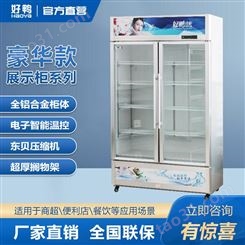 商用饮料陈列柜 好鸭电器 冷冻食品展示柜