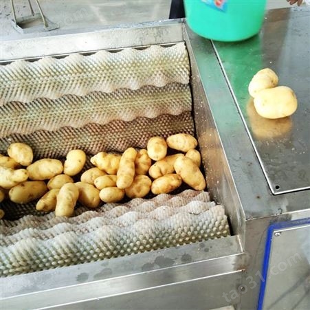 大姜毛辊去皮清洗机 红薯清洗机生产厂家 土豆去皮清洗机