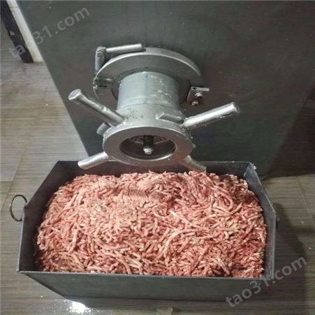切肉灌肠用绞肉机 冻冰盘绞肉机 各种肉类一机搞定 160型