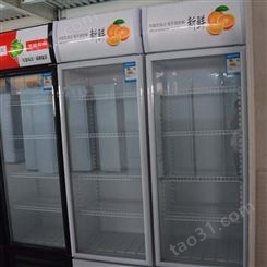 多功能饮料冷藏柜 商用可乐饮料展示柜 武汉双门饮料保鲜柜