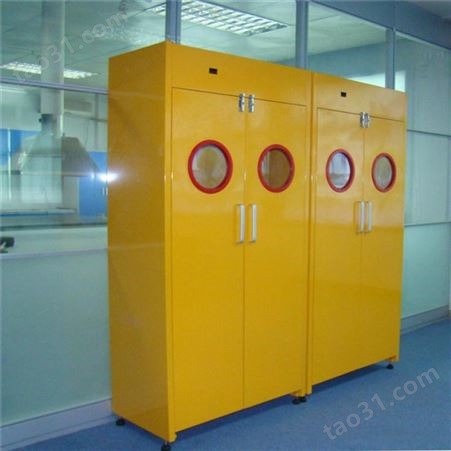安全柜 耐酸碱安全柜 加仑安全柜 易燃品安全柜