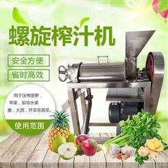 大功率全自动果蔬渣汁分离机小型创业鲜榨水果榨汁机