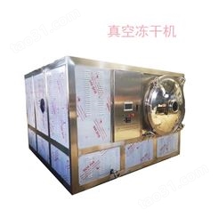 XY真空冻干机 酸奶冻干机设备 不锈钢干燥设备
