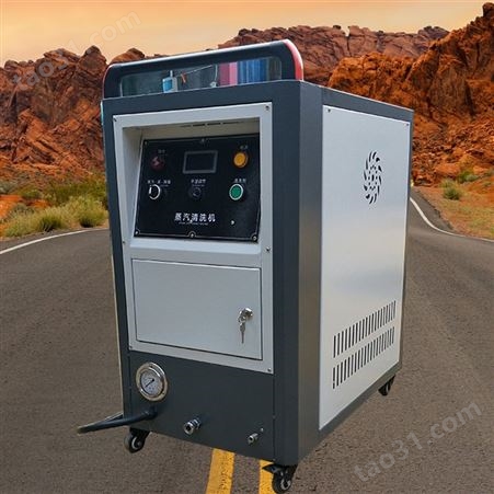 高温高压移动式蒸汽洗车机  多功能商用蒸汽清洁机