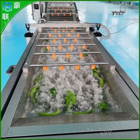 气泡油菜清洗机多功能 自动菠萝清洗流水线 豪联清洗小龙虾的机器