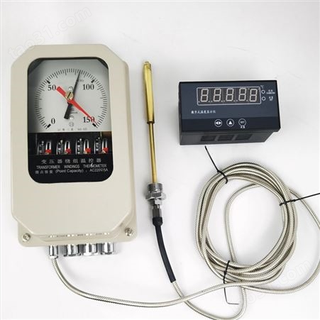 河北温度控制器BWY-804A(TH)