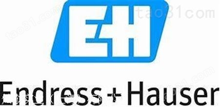 E H传感器、E H流量仪表