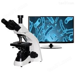 生产4K生物显微镜 BM260生物显微镜 直销显微镜