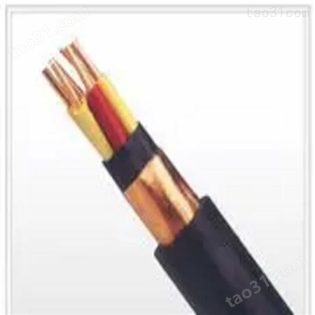 安徽鑫森电缆 电子计算机用对绞屏蔽电缆 DJYPV