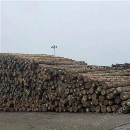 日照木方厂家报价 呈果木业优质建筑木方定制 白松建筑方木平价批发