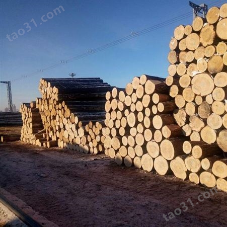 呈果木业 现货直发建筑木方模板规格齐全 4X8樟子松建筑木方模板厂家直供