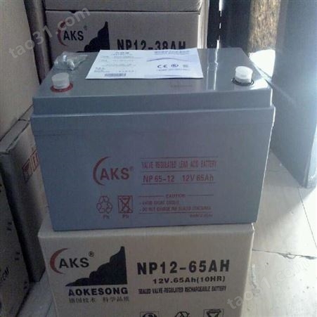 奥克松AKS蓄电池NP7-12 12V7AH EPS应急配电柜配套