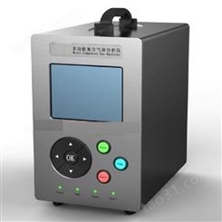 便携式氢气分析仪/便携式氢气检测仪