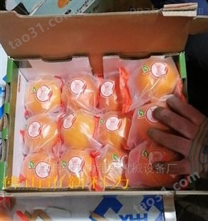 桂林沃柑包装机