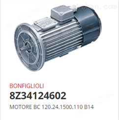 Bonfiglioli 8Z34124602 直流电机 *