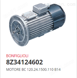 Bonfiglioli 8Z34124602 直流电机 *